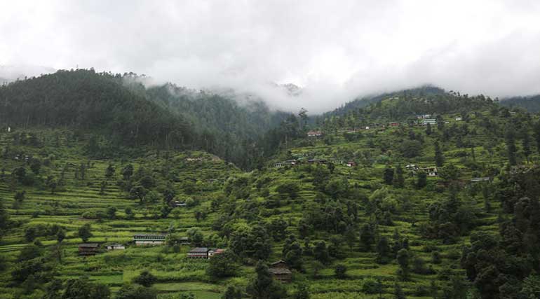 blog-nature