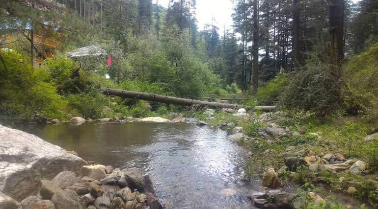blog-nature