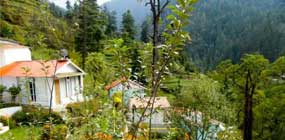 blog-nature
