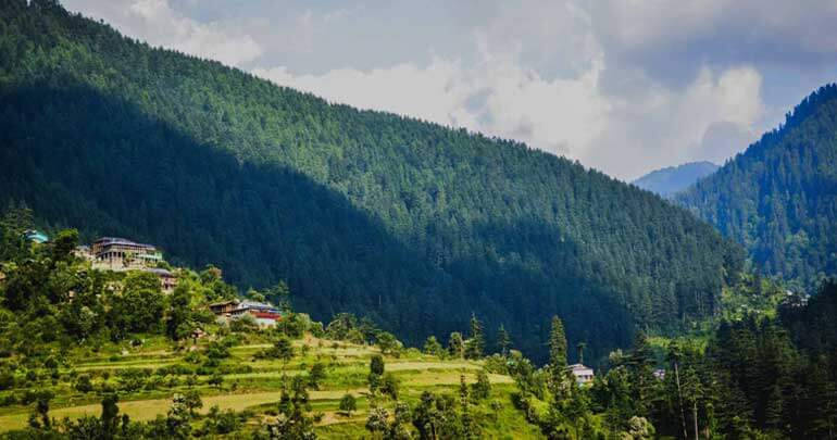 blog-nature