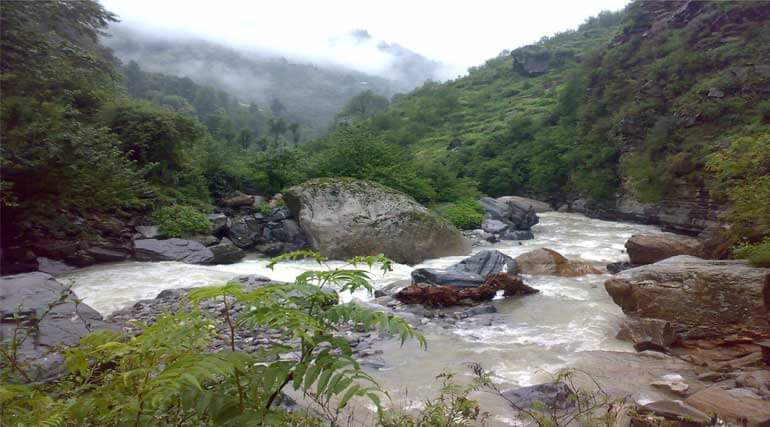 blog-nature