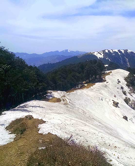 blog1